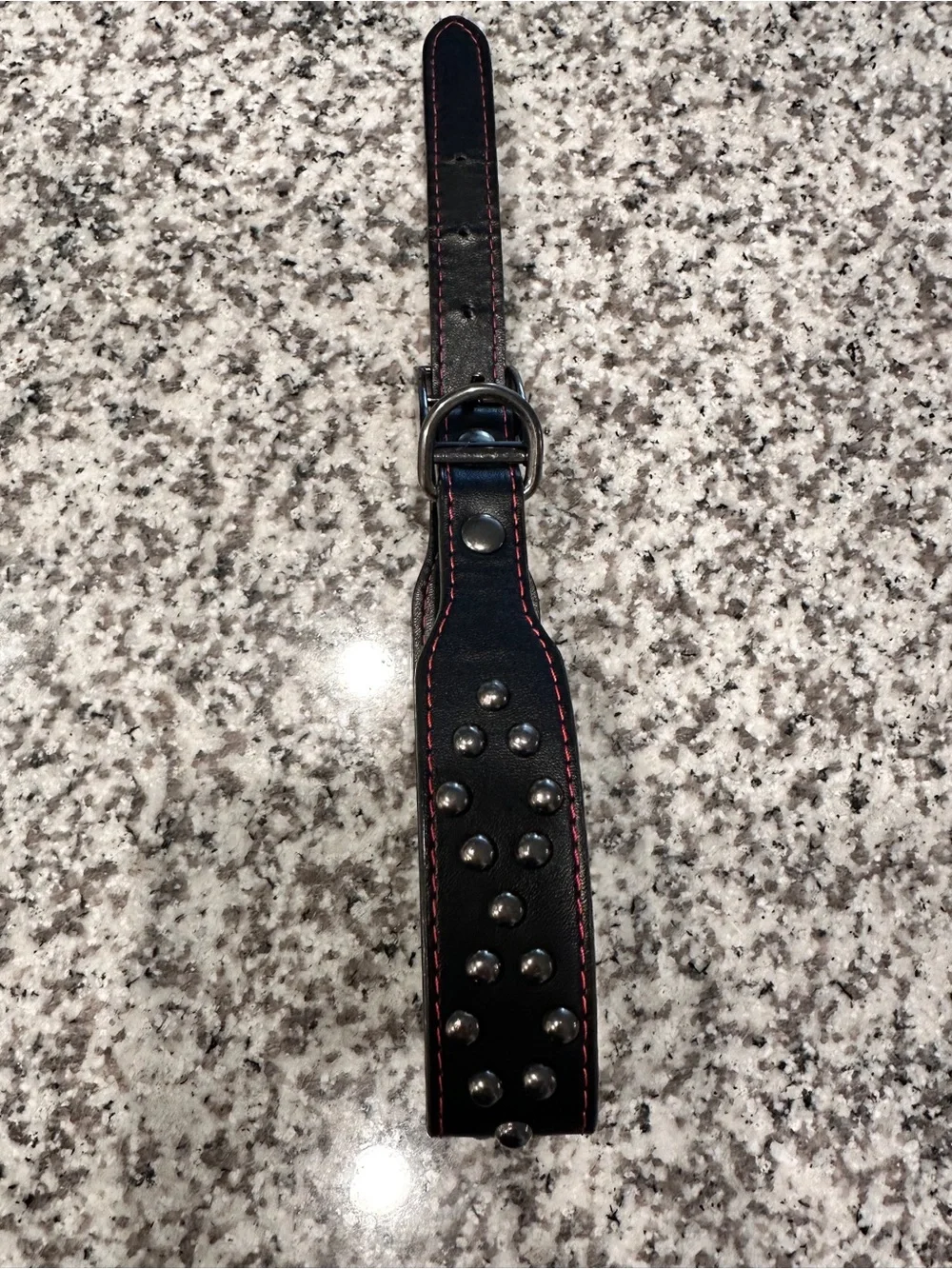 Black Studded DOG Collar Red Stitching
